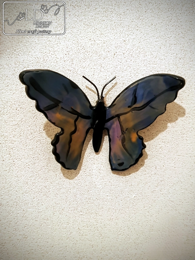 גלריית תמונות של פרפרים בעיצובים שונים